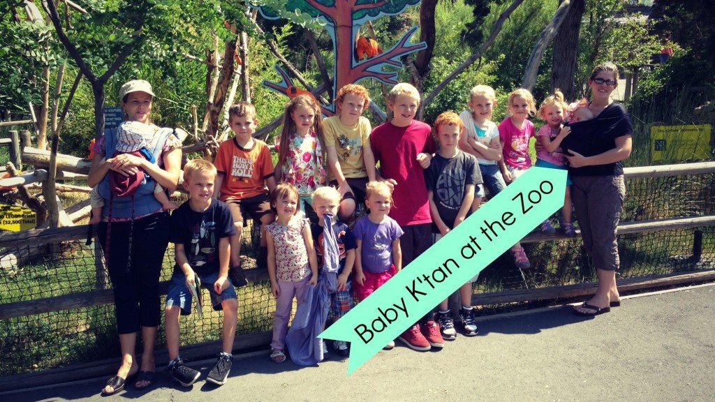 baby k'tan at the zoo