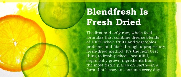 blendfresh-is-fresh-dried-text-700x300